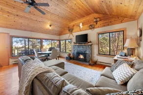 Beautiful forest retreat with stunning views - Image 4
