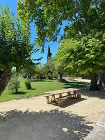 The Farmhouse in the shade of the plane trees - Image 4