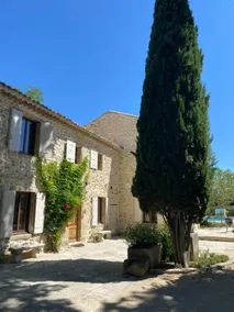 The Farmhouse in the shade of the plane trees - Image 3