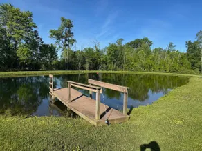 Sprinkle Bottom Lodge: Ac, Heating & Pet Friendly - Image 4