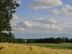 Luxury Retreat in Hejlsminde - Image 4