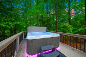 Private Pool Resort | Hot Tub | Dogs + Playset - Image 2