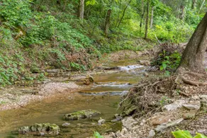 Peaceful Creekside Stay | Pool + Free Tickets - Image 5