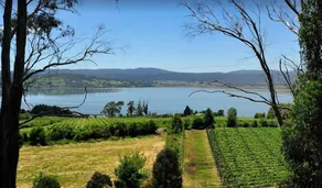 The Vineyard Vista at Tamar Ridge Apartments - Image 3