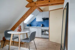 Eagle Suite · Spacious Attic Apartment - Wipkingen - Image 4