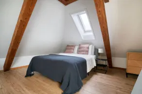 Eagle Suite · Spacious Attic Apartment - Wipkingen - Image 2