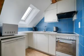 Eagle Suite · Spacious Attic Apartment - Wipkingen - Image 5