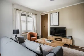 Maple Suite · Bright 3-Room Apartment in Wipkingen - Image 4