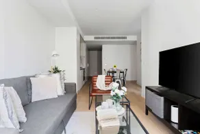 A Cozy 2BR Apt Right on Buzzing Chapel Street - Image 4