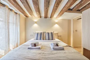 Charming renovated apartment in Center of Paris - Image 2