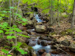 Rustic Luxe w/ Creek & Privacy - Image 5