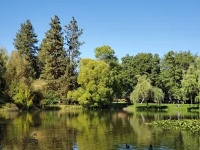 Peaceful South Hill Retreat near Manito & Downtown - Image 3