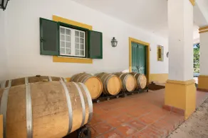 Quinta Centieira Scalab Wine - Image 2