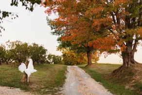 Rendelman Orchard's Farm Stay - Image 2