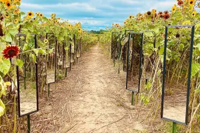 Rendelman Orchard's Farm Stay - Image 4