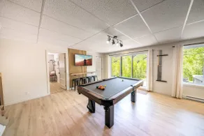 Spa Mountain Pool table - Le Haut 132 - Image 3
