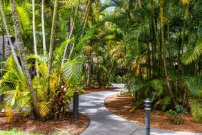Tropical Bure 19 - Image 4