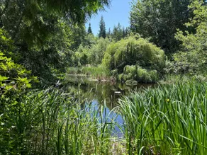 Dragonfly Haven: 2BR Cottage, Pond, EV Charger - Image 2