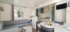 La Palmeraie: Modern mobile home & pets ok - Image 3