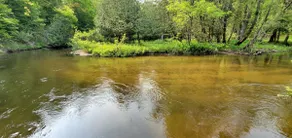 Bradley's Bend Trout Fishing Riverfront Log Cabin - Image 4