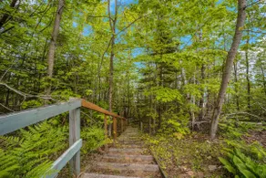 The Greenwall Cottage: Up North Renewal Retreat - Image 3