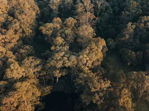 Tiny India - Image 3
