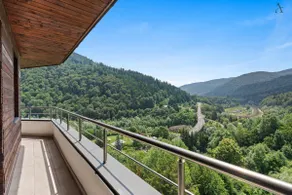 Studio Mountain View - Image 5