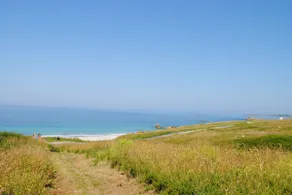 The Beach Shelter - Image 5