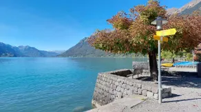 2-Min to Lake: Modern Brienz Flat with Garden - Image 4
