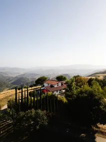 Ojai Mountain Ridge Estate - Image 4