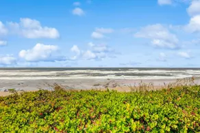Oceanfront home with amazing sunsets, fire pit, & - Image 3