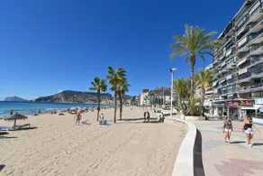 Center & 3 min walk to Beach | Ideal to work| Pets - Image 3