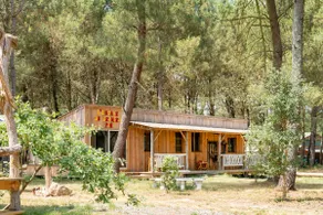 The Last Pine Stopover - Image 2