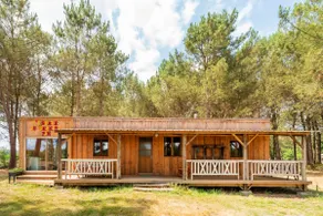 The Last Pine Stopover - Image 5