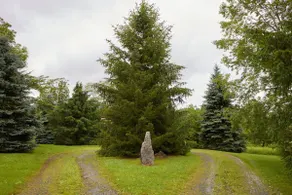 Step Back in Time - the Historic Cooper Homestead - Image 5