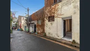 The Brass Bear in Darlinghurst - Image 3