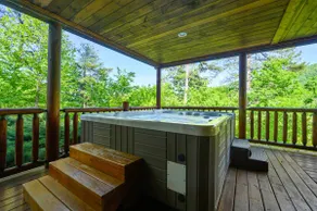 Luxury Lodge and Resort- Hot Tub, Fire Pit, Game Room, Pets - Image 2