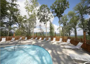Luxury Lodge and Resort- Hot Tub, Fire Pit, Game Room, Pets - Image 4
