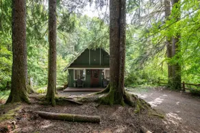 Fog & Fern Hideaway - Cozy Cabin w Private Hot Tub near Mt Rainier - Image 3