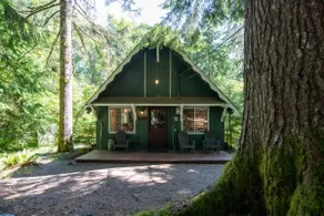 Fog & Fern Hideaway - Cozy Cabin w Private Hot Tub near Mt Rainier - Image 2