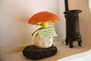 The Little House of the Forest of Letters by Sierra Viva - Image 5