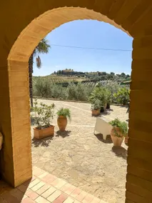 Tenuta Bartoli - Agave - Image 3