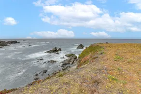 Whale Watch + Stargaze: Luxe Oceanfront Escape! - Image 4