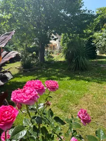 Peaceful Countryside Getaway - Image 3