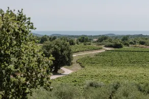 Villa Luisa - Image 3