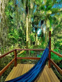 Bosque da Concha: Your Modern Getaway in Nature - Image 3