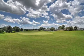 New Designer Home in The Villages: Shady Brook - Image 5