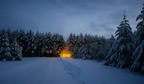 Cozy Cottage with Fire Pit & WiFi - Image 2