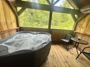 Feelin Feisty! Hot Tub AVL WiFi - Image 2