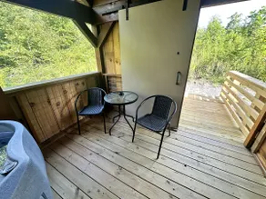 Feelin Feisty! Hot Tub AVL WiFi - Image 3